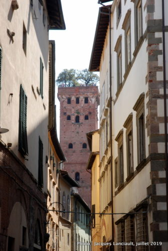 Torre Guinigi, Lucques, Italie