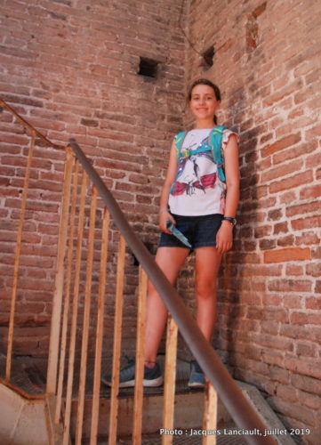 Torre Guinigi, Lucques, Italie