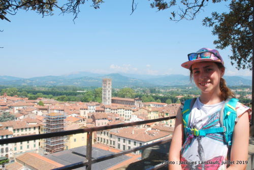 Torre Guinigi, Lucques, Italie