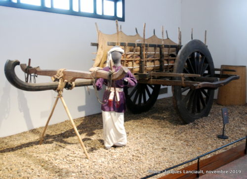 Musée d’Ethnographie du Vietnam, Hanoï, Vietnam