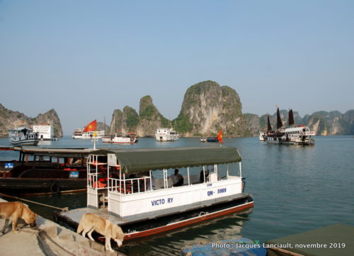 Baie d’Hạ Long, Vietnam