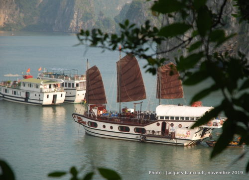 Baie d’Hạ Long, Vietnam