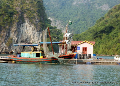 Baie d’Ha Long, Vietnam