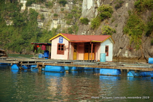 Baie d’Ha Long, Vietnam