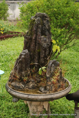Cité impériale, Hué, Vietnam