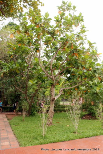 Rivière des Parfums, Hué, Vietnam
