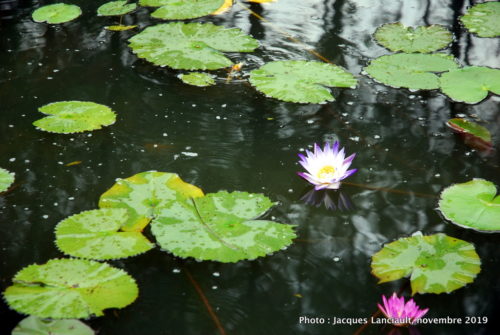 Rivière des Parfums, Hué, Vietnam
