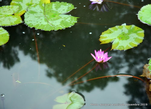 Rivière des Parfums, Hué, Vietnam