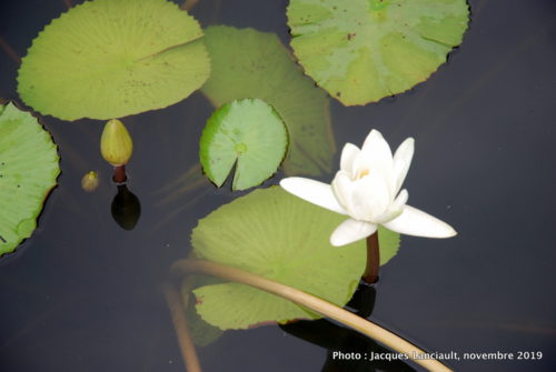 Rivière des Parfums, Hué, Vietnam