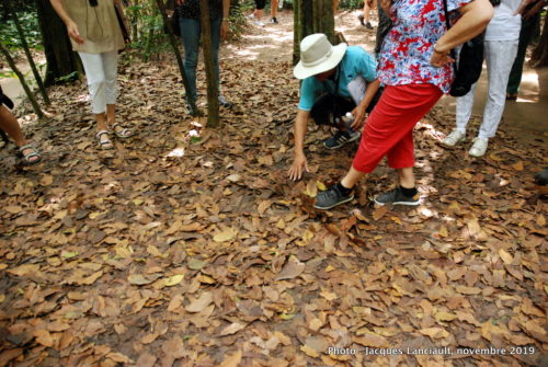 Cu Chi, Vietnam