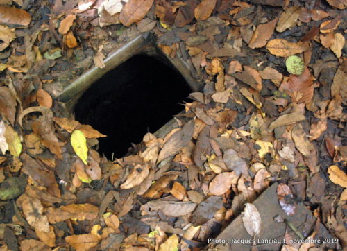 Cu Chi, Vietnam