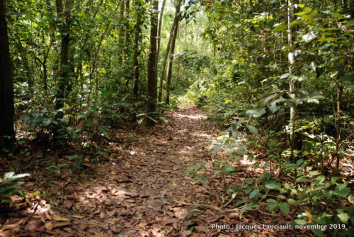Cu Chi, Vietnam