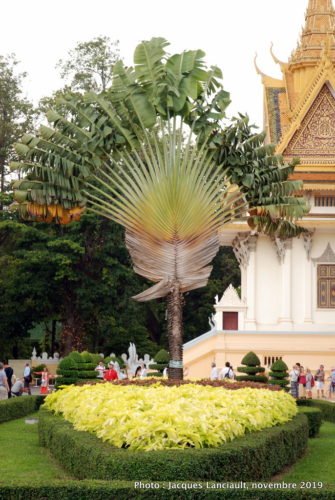 Salle du trône, palais Royal, Phnom Penh, Cambodge