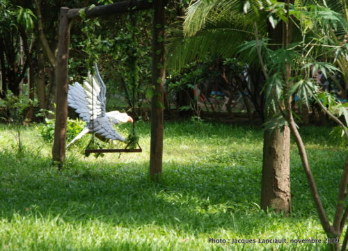 Silk Island, Cambodge