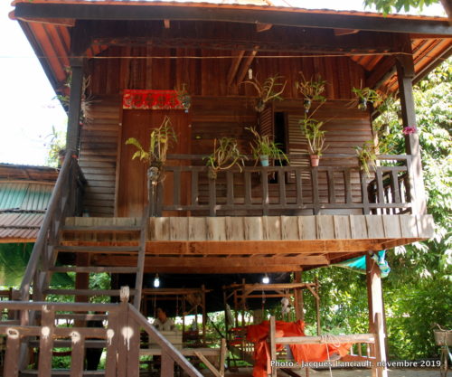 Silk Island, Cambodge