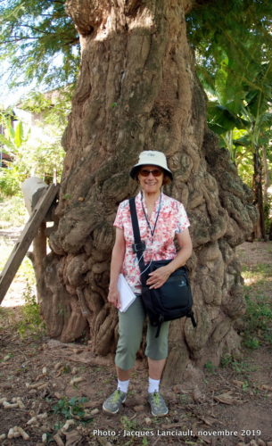 Angkor Ban, Cambodge