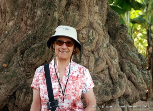 Angkor Ban, Cambodge