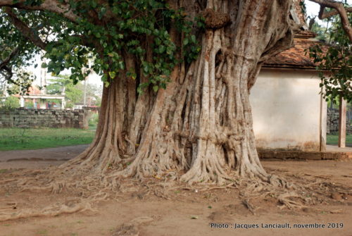 Temple de Wat Nokor, Kampong Cham, Cambodge