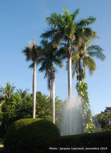 Angkor Palace Resort, Siem Reap, Cambodge