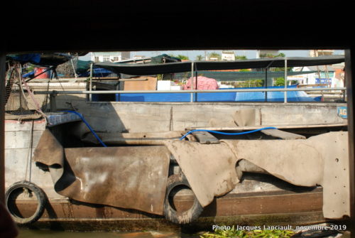 Fleuve Mékong, Vietnam