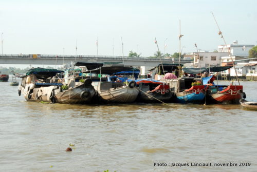 Fleuve Mékong, Vietnam
