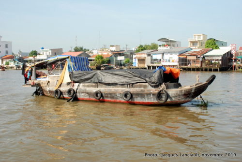 Fleuve Mékong, Vietnam