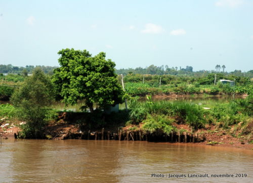 Fleuve Mékong, Sa Đéc, Vietnam