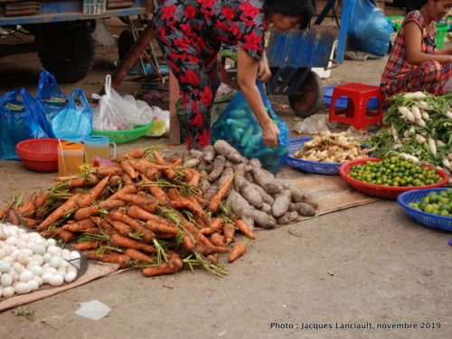 Marché public, Sa Đéc, Vietnam
