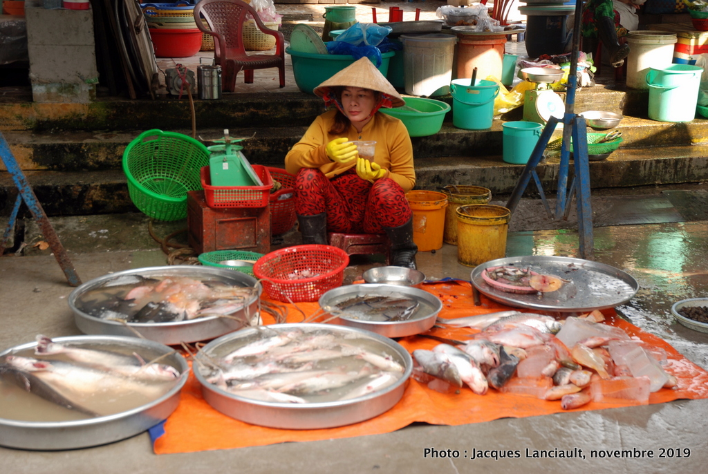 Marchande de poissons, Sa Đéc, Vietnam