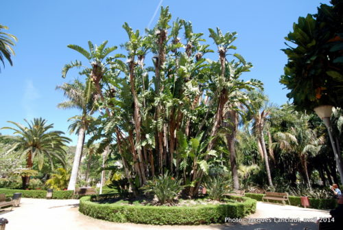 Paseo del Parque, Málaga, Espagne