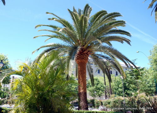Paseo del Parque, Málaga, Espagne