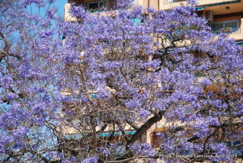 Málaga, Espagne