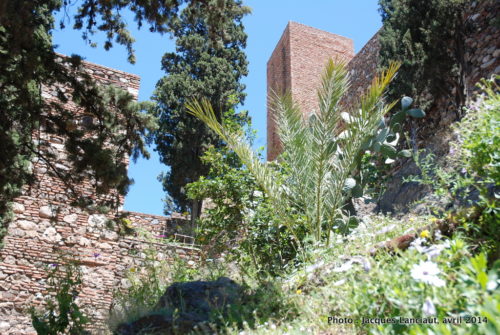 Alcazaba, Málaga, Espagne