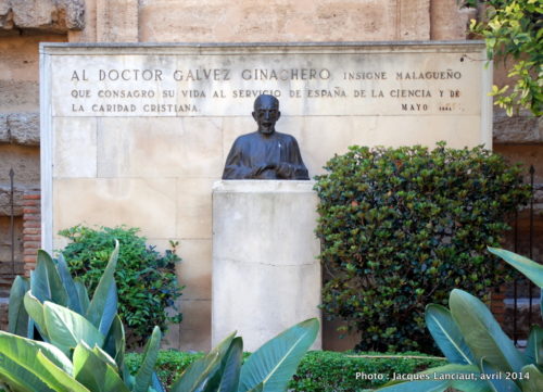 José Gálvez Ginachero, Málaga, Espagne
