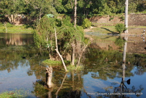 Angkor Thom, Siem Reap, Cambodge