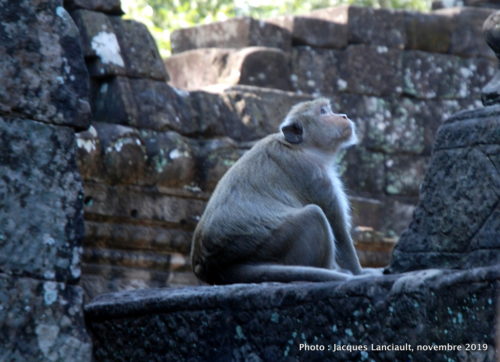 Temple Bayon, Angkor Thom, Siem Reap, Cambodge