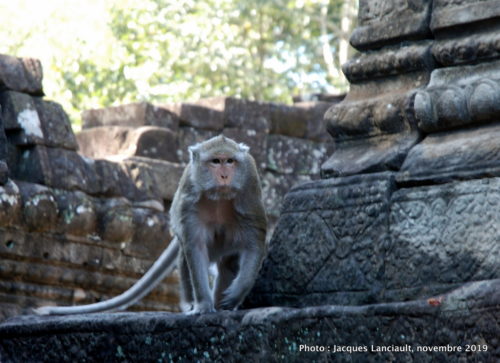 Temple Bayon, Angkor Thom, Siem Reap, Cambodge