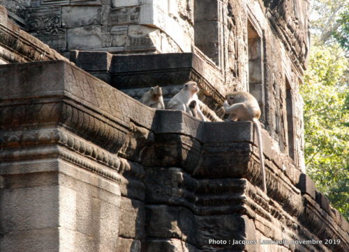 Angkor Thom, Siem Reap, Cambodge