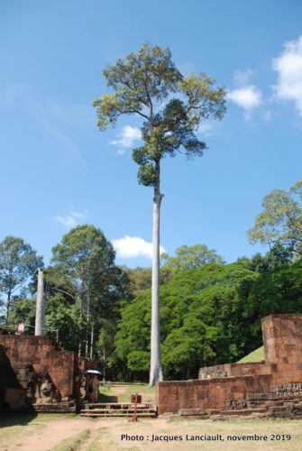 Terrasse des Éléphants, Angkor Thom, Siem Reap, Cambodge