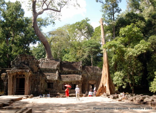 Temple Ta Prohm, Angkor Thom, Siem Reap, Cambodge