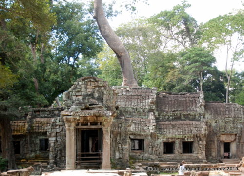 Temple Ta Prohm, Angkor Thom, Siem Reap, Cambodge
