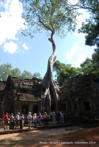 Temple Ta Prohm, Angkor Thom, Siem Reap, Cambodge