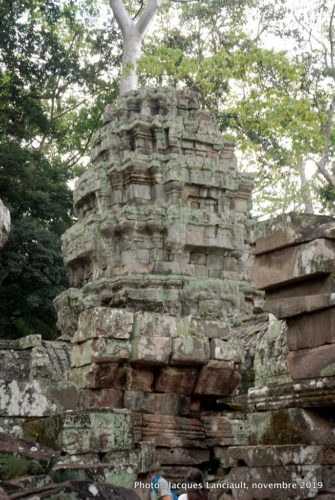 Temple Ta Prohm, Angkor Thom, Siem Reap, Cambodge