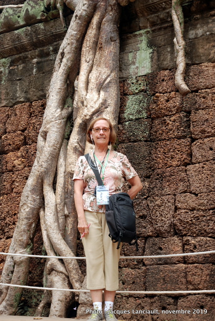 Temple Ta Prohm, Angkor Thom, Siem Reap, Cambodge