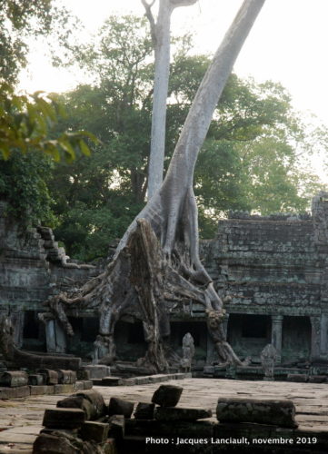 Temple Preah Khan, Angkor, Siem Reap, Cambodge