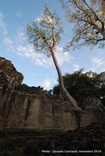 Temple Preah Khan, Angkor, Siem Reap, Cambodge