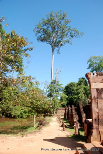 Temple Banteay Srei, Angkor, Siem Reap, Cambodge