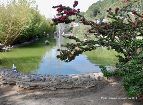 Parque Arroyo de la Represa, Marbella, Andalousie, Espagne