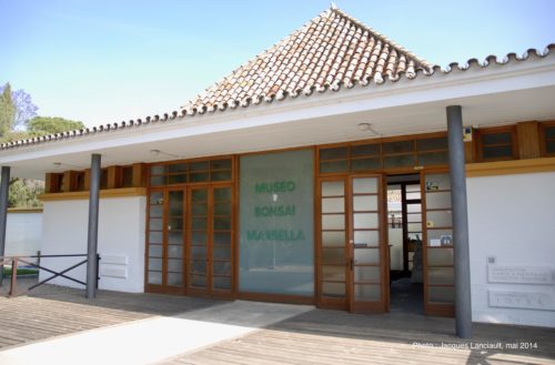 Musée du bonzaï, Marbella, Andalousie, Espagne