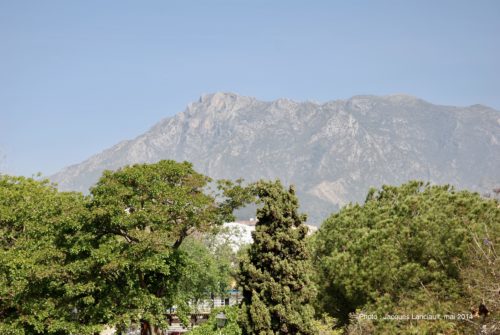 Parque Arroyo de la Represa, Marbella, Andalousie, Espagne